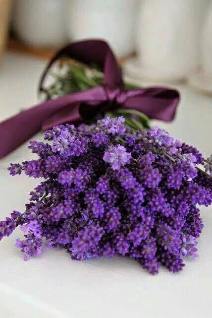 gift-1
